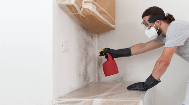 Attic Mold Remediation treatment on roof deck in Furlong
